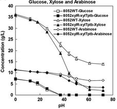 植生生态所纤维素丁醇制备技术研究取得新进展